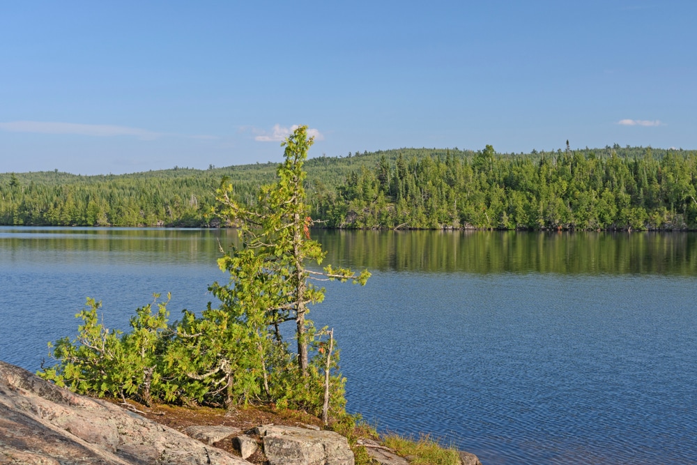 Lake of the Woods in Minnesota