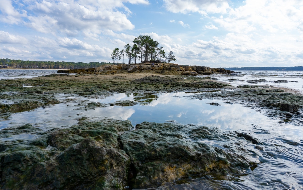 Sam Rayburn Reservoir at Texas with the lake on the back