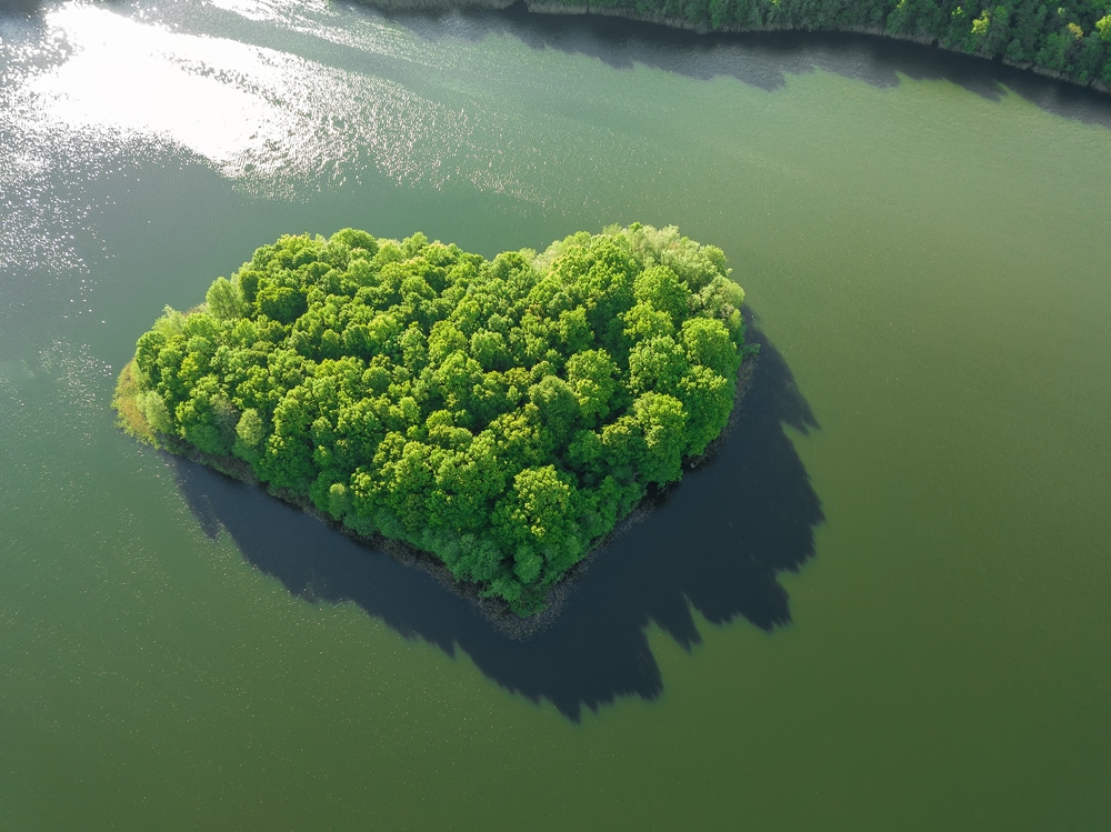 Drone shot of heart shaped island in a river