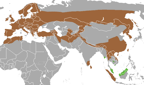 the Eurasian otter distribution map
