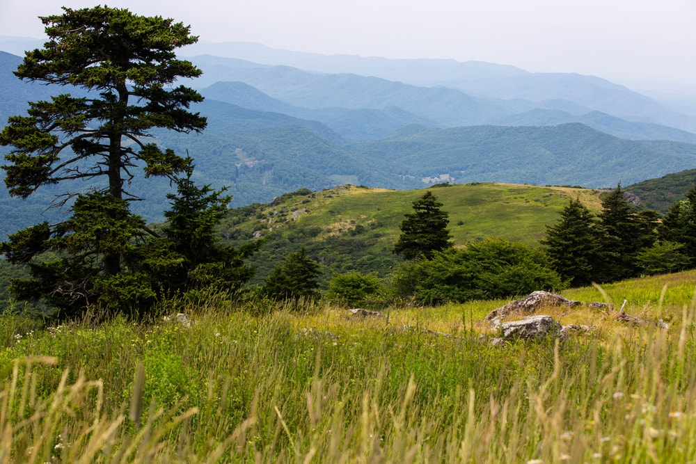 Peak view of Whitetop Mountain in Virginia