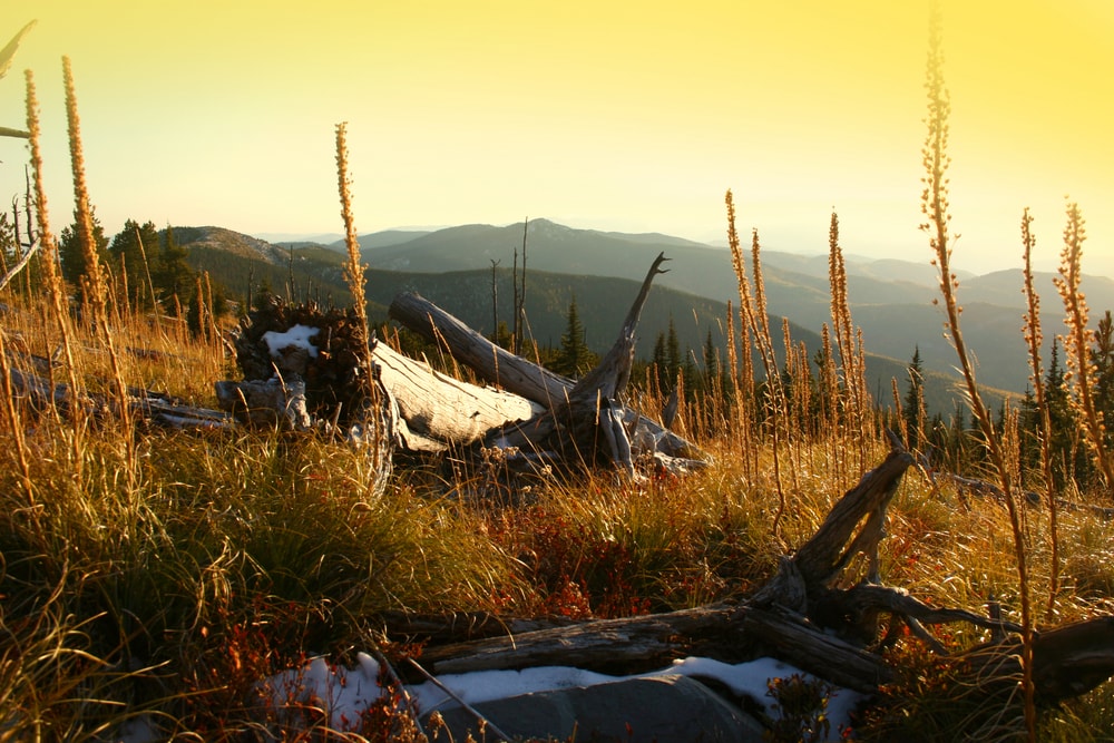 Inside the Abercrombie Mountain in Washington