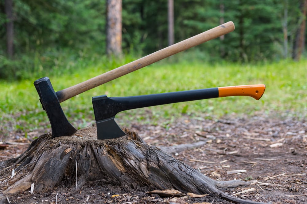 Cutting of trees in forest