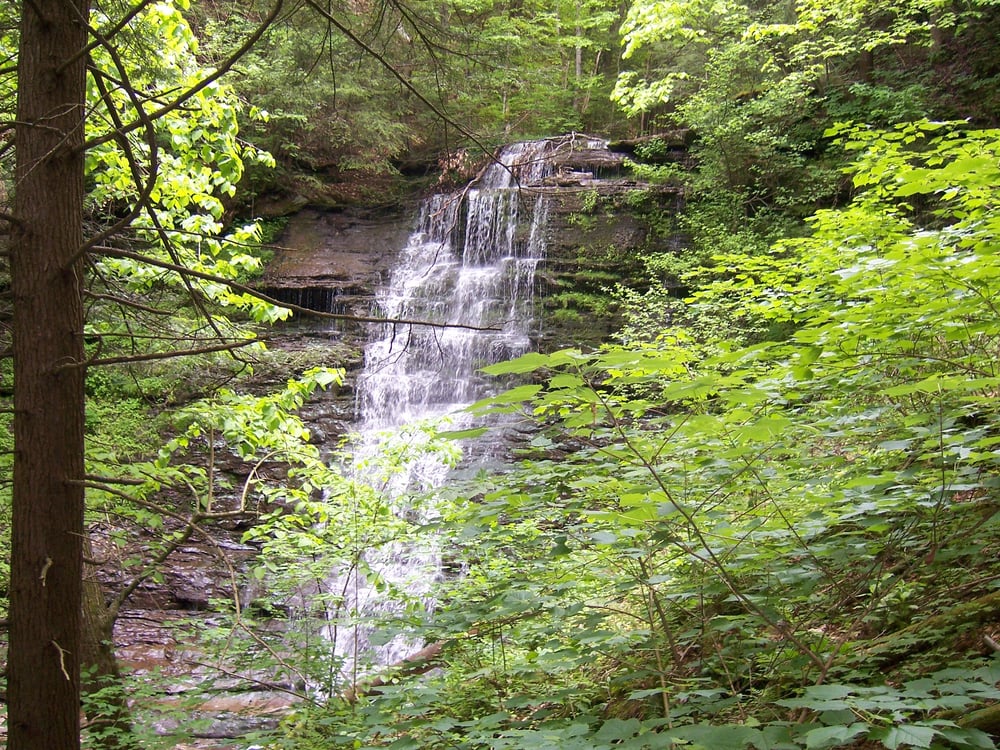  Turkey Path Falls: Inside The PA Grand Canyon