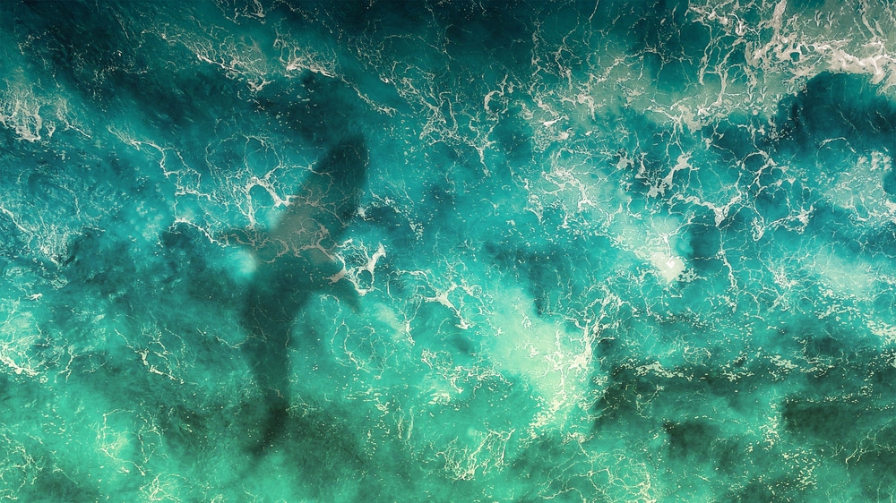 shadow of a shark under the sea waves