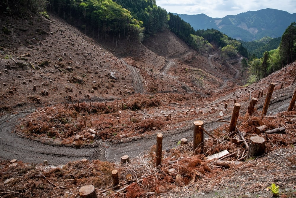 Photograph of the mountain after deforestation