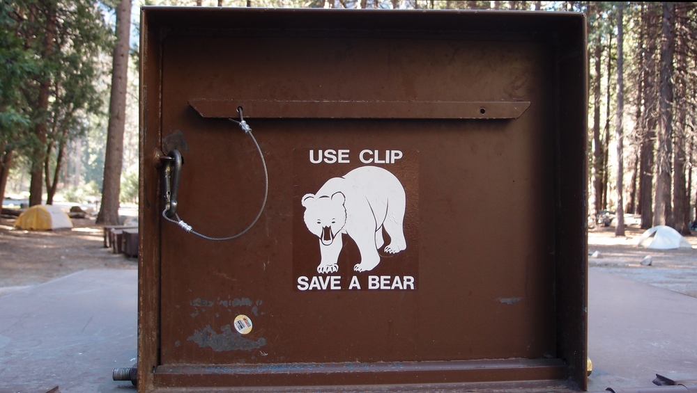 Shot of a brown Bear-proof container