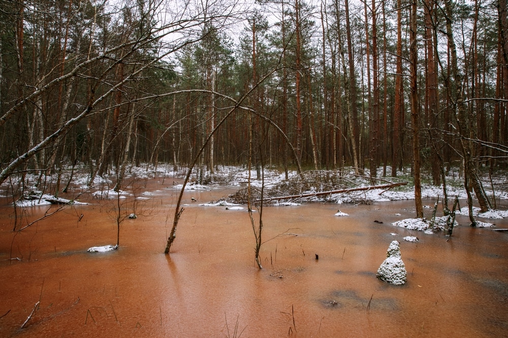 Melting ice on water in the swamp area