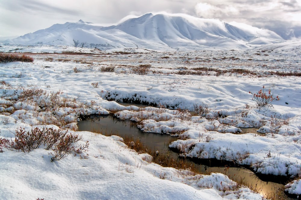 image of snow covering up a river on a tundra biome