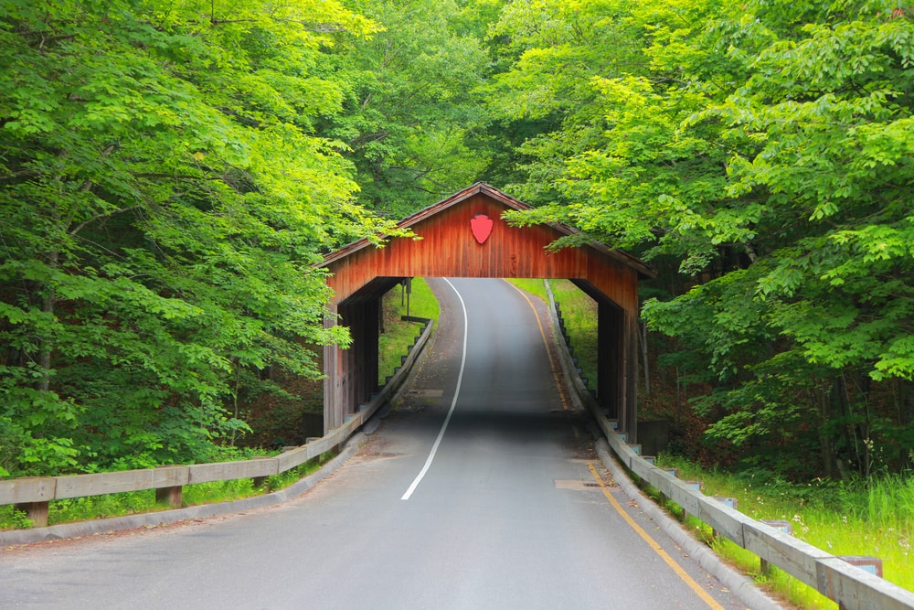 spring color trees in Covered bridge near Sleeping bear sand dunes in Michigan