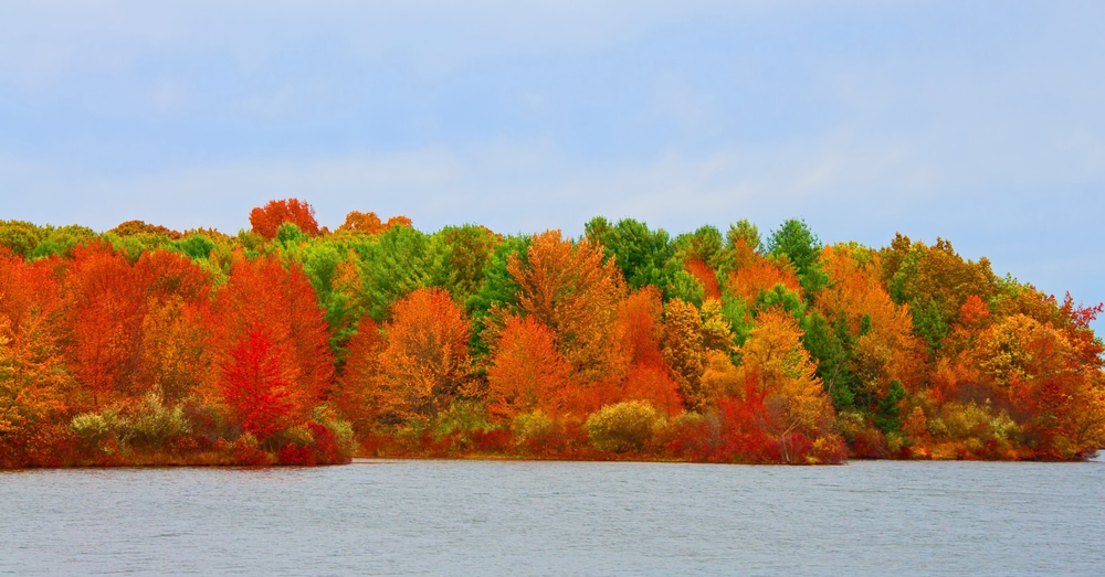 autumn colored trees cross an inland lake, Lake Ovid, at Sleepy Hollow State Park in Michigan,