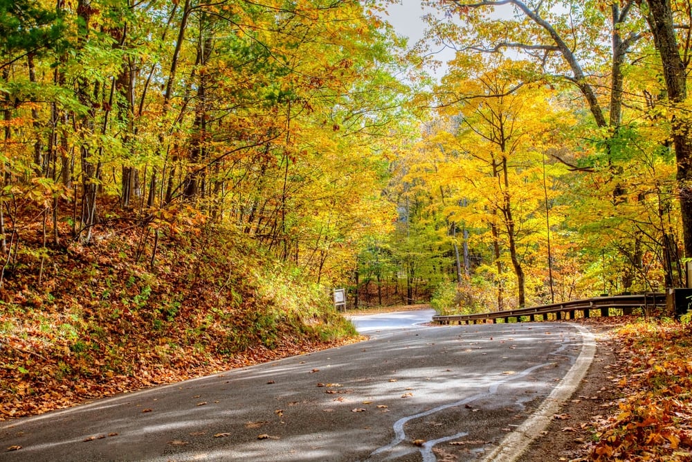 M-119 Tunnel Of Trees Harbor Springs Michigan In The Autumn