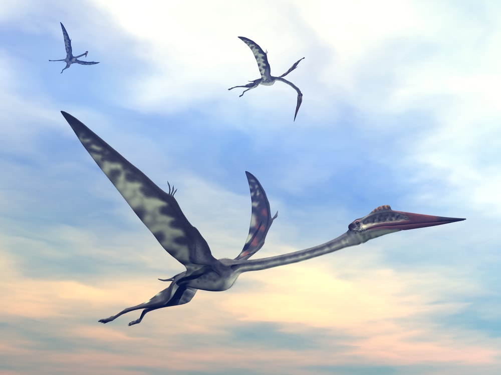 3D render of Quetzalcoatlus, three Quetzalcoatlus fying in the sky
