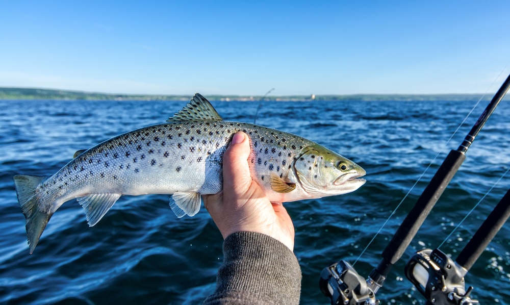 image of an angler holding a caught small lake trout in hand