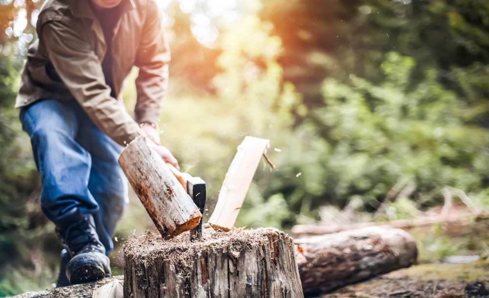 a man holding an axe and chopping wood trunks in a forest setting