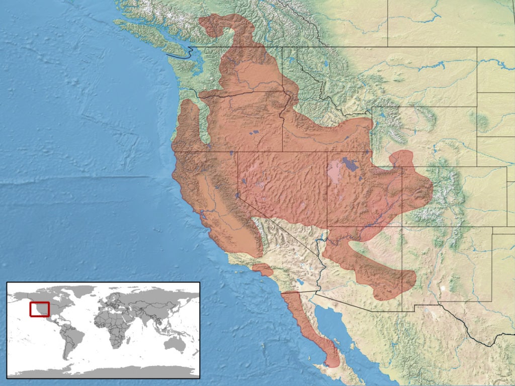 range map of western rattlesnake