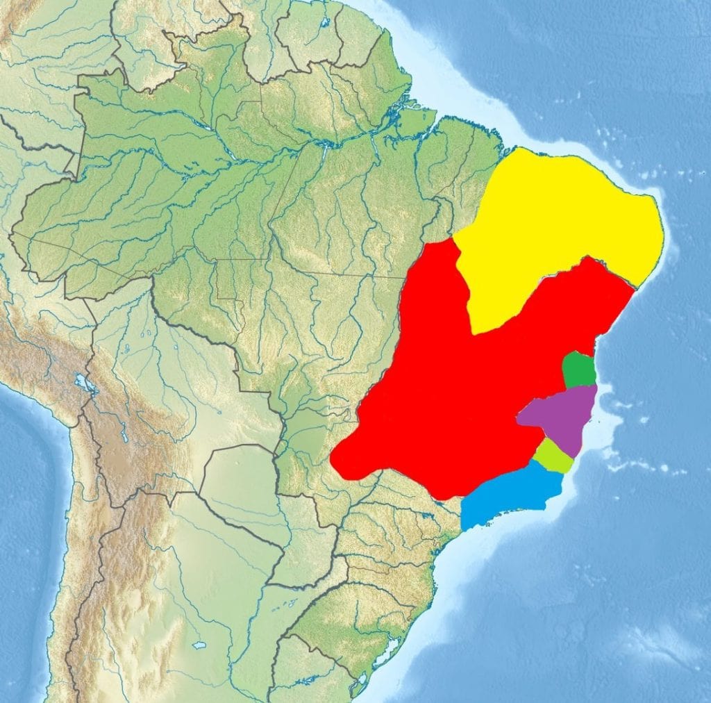 distribution mao of common marmoset