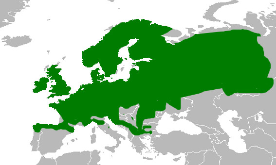 distribution map of commn frogs
