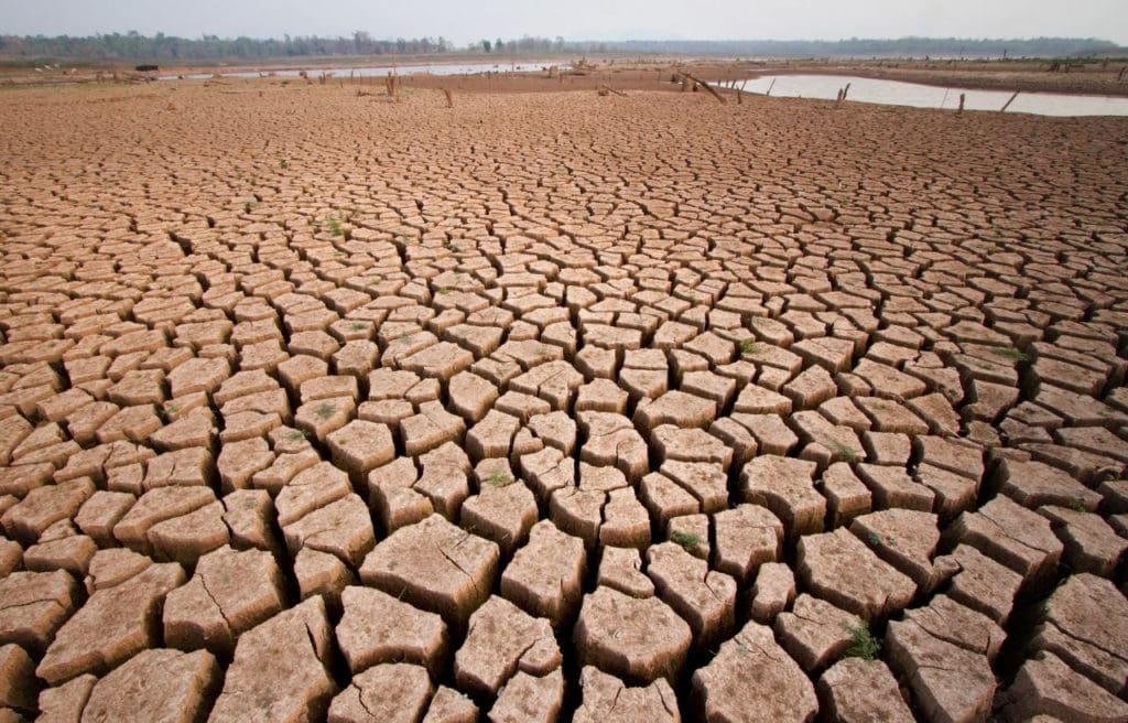 Picture of drought on a pond