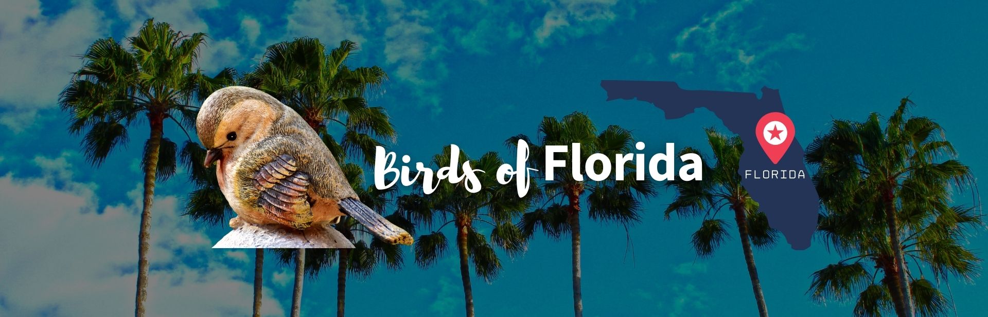 Birds of Florida featured image
