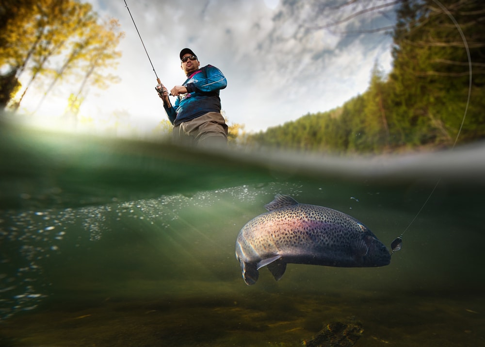 Man fishing a trout in a lake