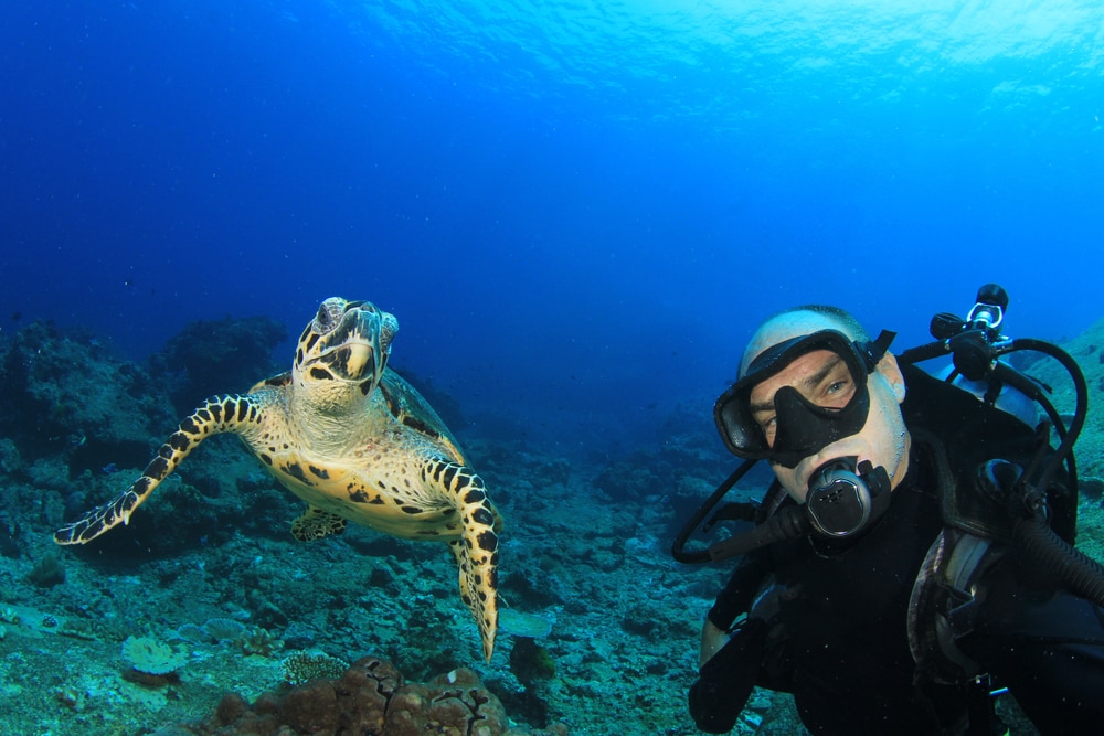 a scuba diver takes a selfie with a green sea turtle