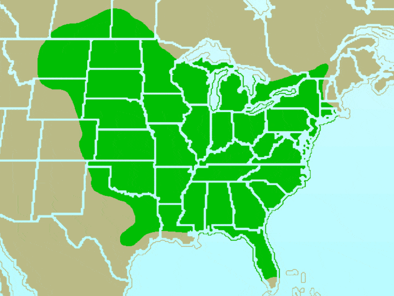 red-bellied woodpecker range map