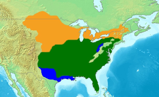 red-headed woodpecker range map