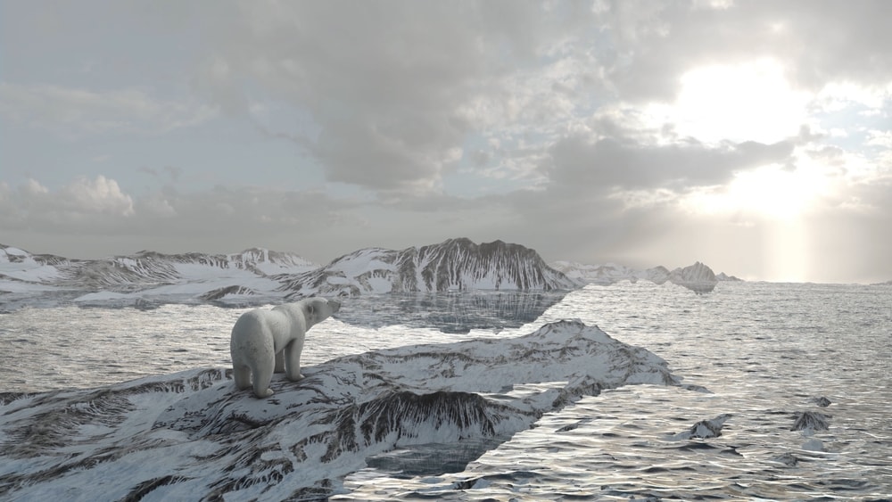 Polar bear heading towards the sunlight