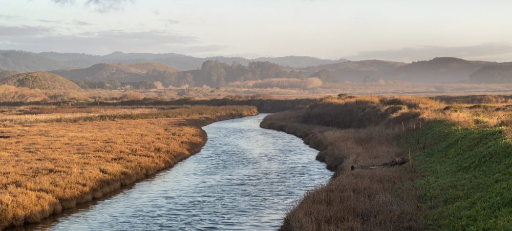 image of the Pescadero Marsh Natural Preserve