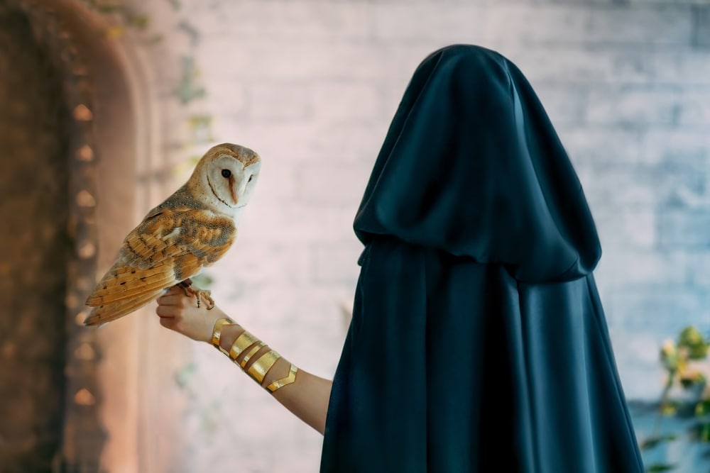 Woman in hood holding an elf owl