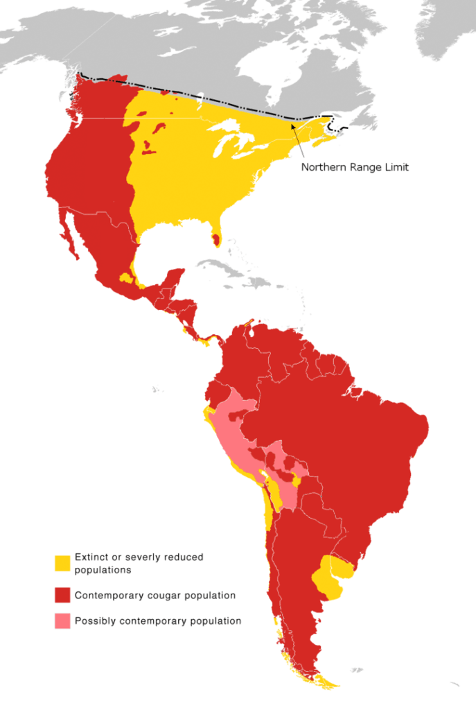 range map of a cougar