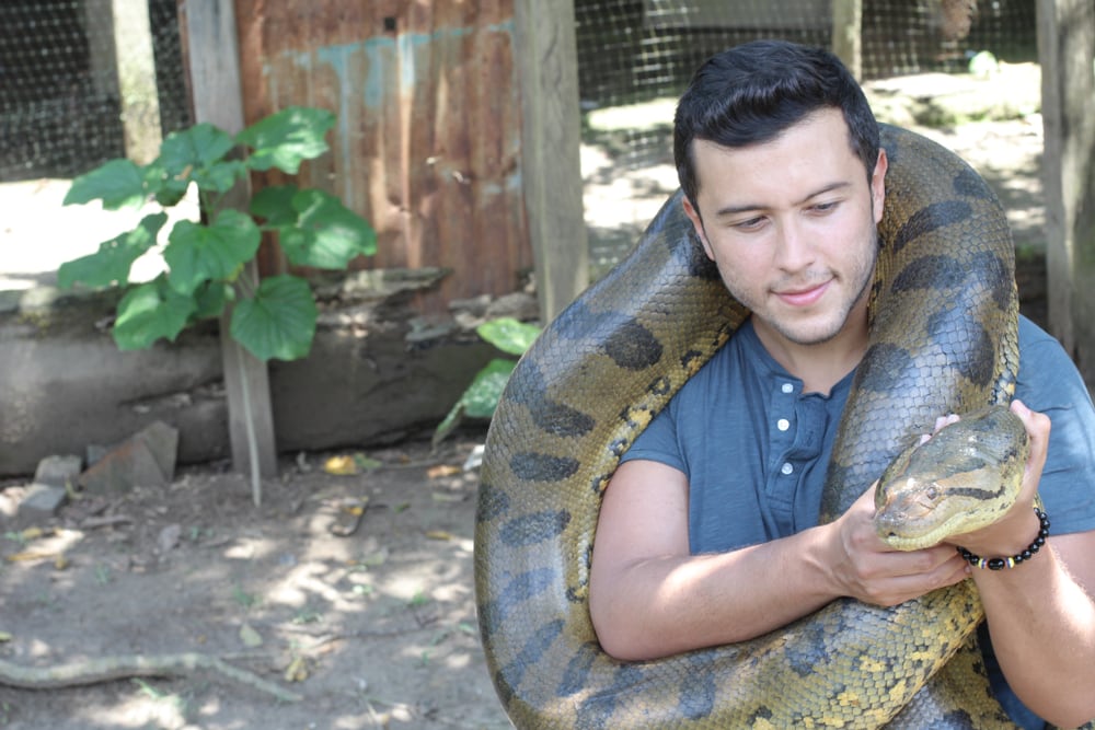 image of a man holding  green anaconda