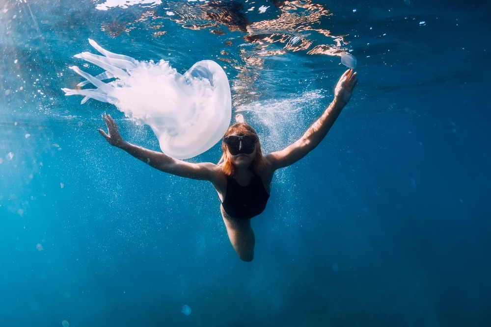 Diver swimming towards a transparent jellyfish