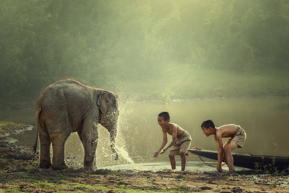 two boys playing with a baby elephant