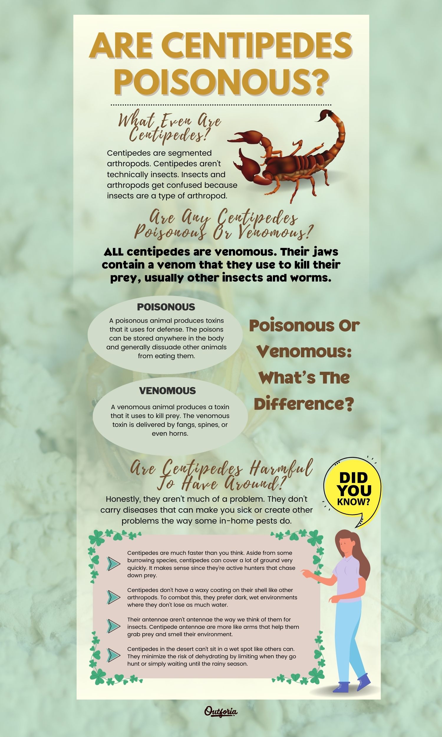 Chart of are centipedes poisonous complete with facts