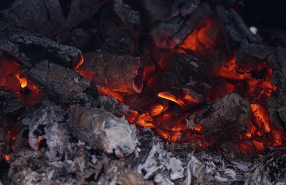 Charcoals being burned to ashes