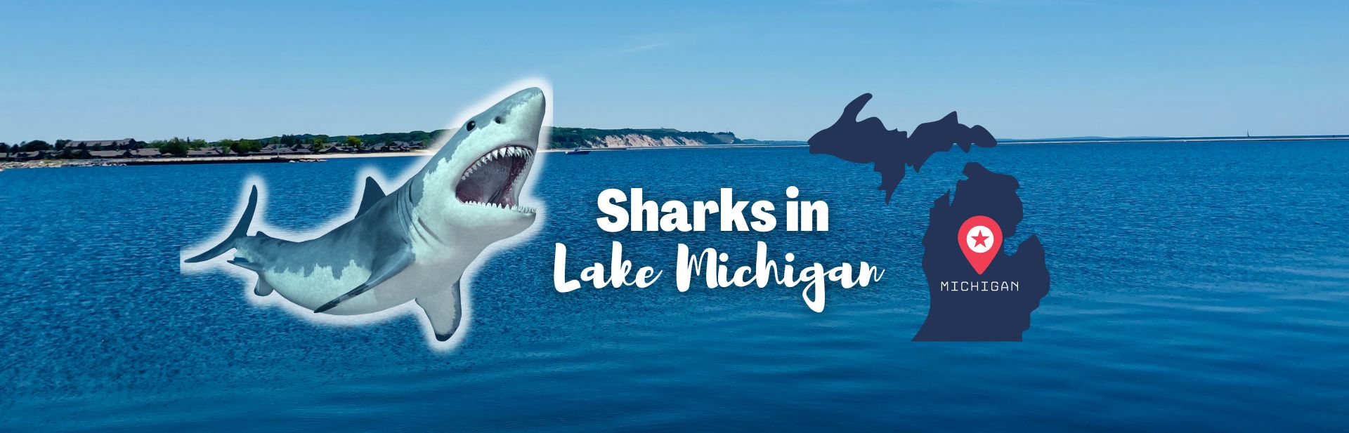 Sharks in Lake Michigan featured image
