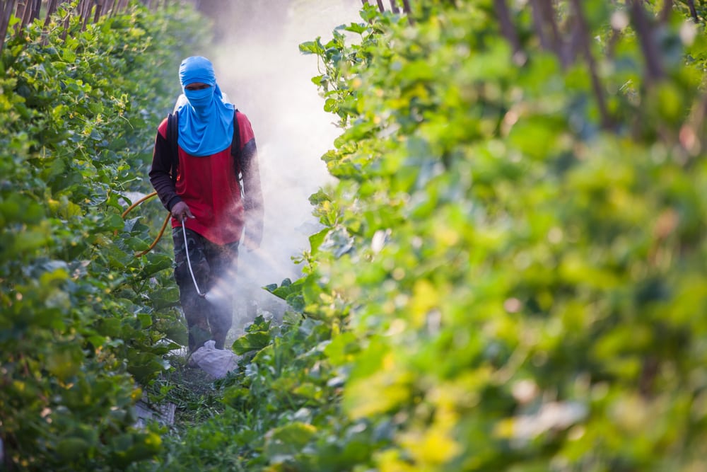 a man spraying pesticide on a farmland