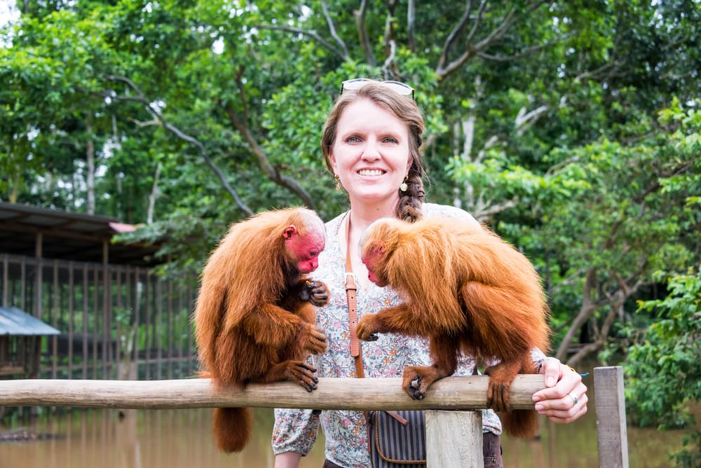 Two baby bald uakari on a wood with a tourist woman in the middle