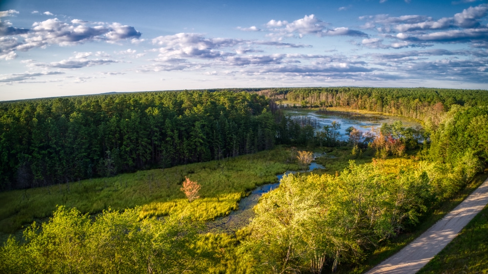aerial shot of the featherbed branch in the Pine barrens, in New Jersey, USA