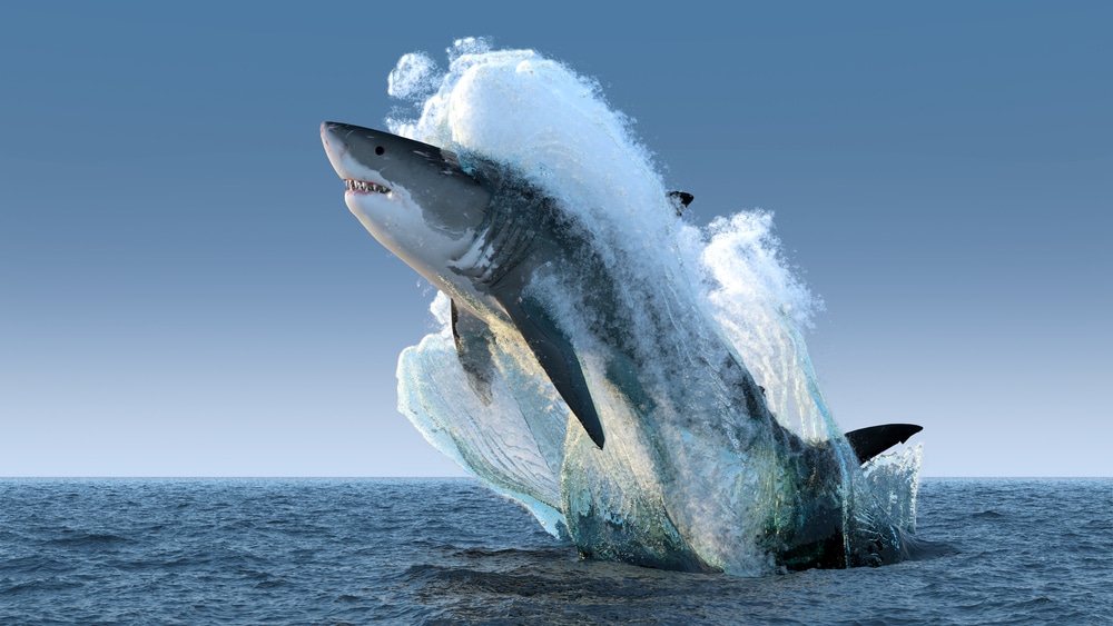 Sharks breaching out of the ocean