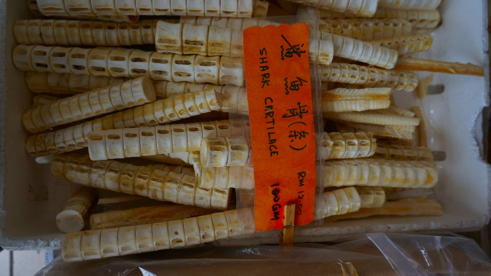 Shark cartilage compiled in one box
