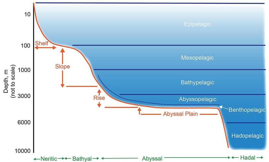 Geographic Range and Ocean Zones of where to find common octopus