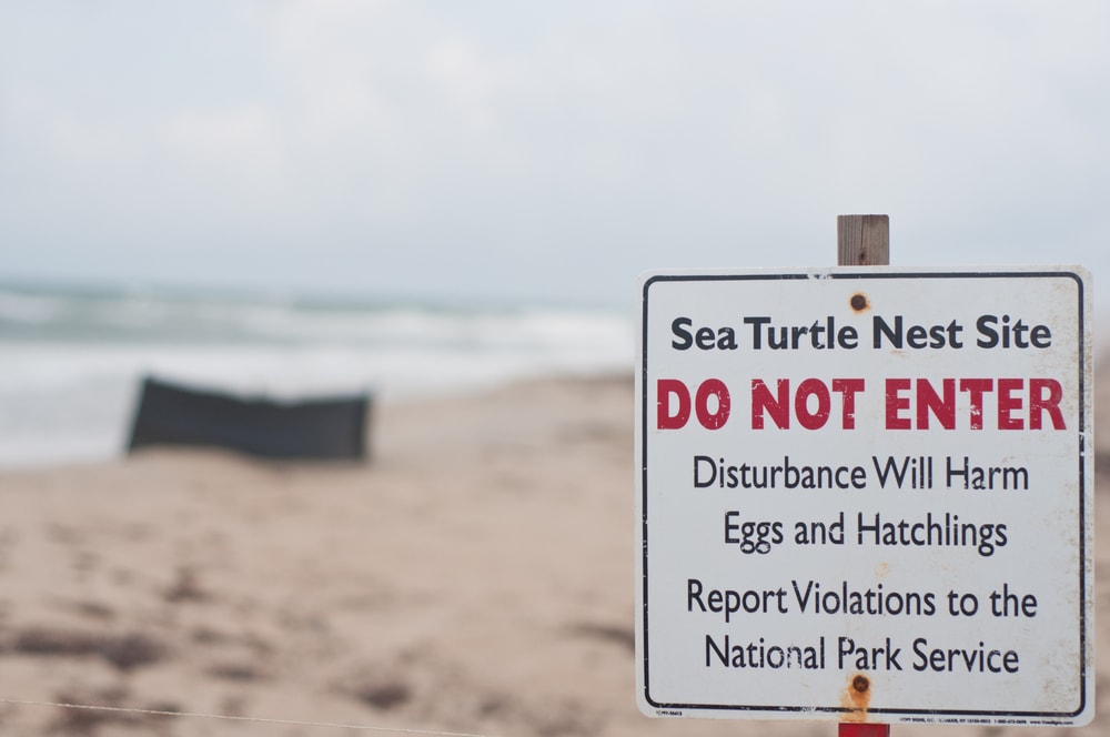 No Not Enter sign of an enclosed coastal beach where sea turtles lay eggs