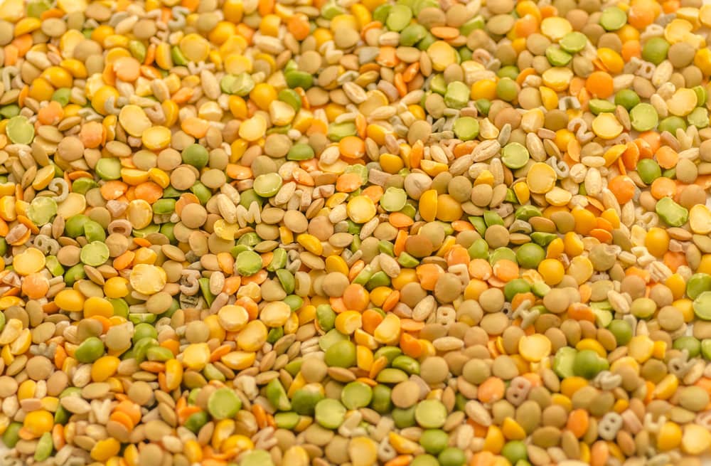 Close up photo of a Dried Soup Mix