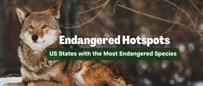 endangered species featured image