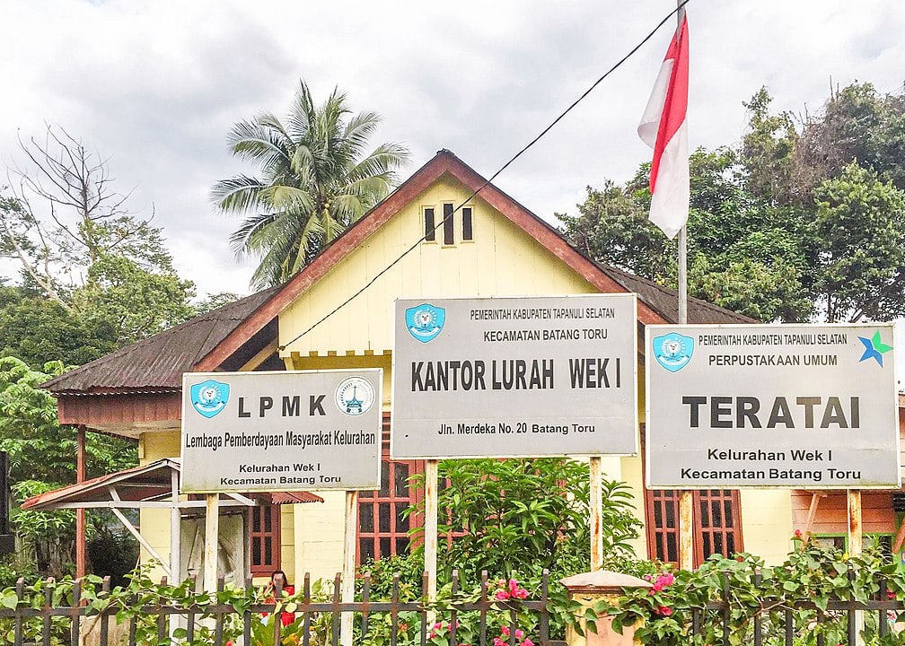 Batang Toru Ecosystem of the tapanuli orangutans