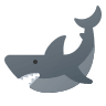 shark icon