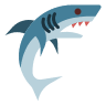 shark icon
